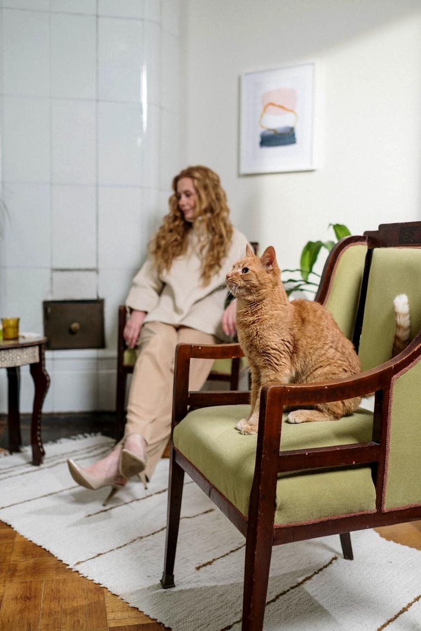 Pet sitting at home