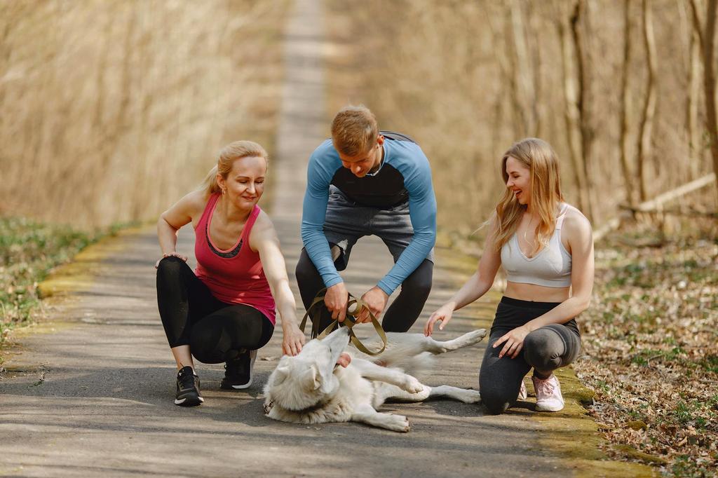 Small pet care