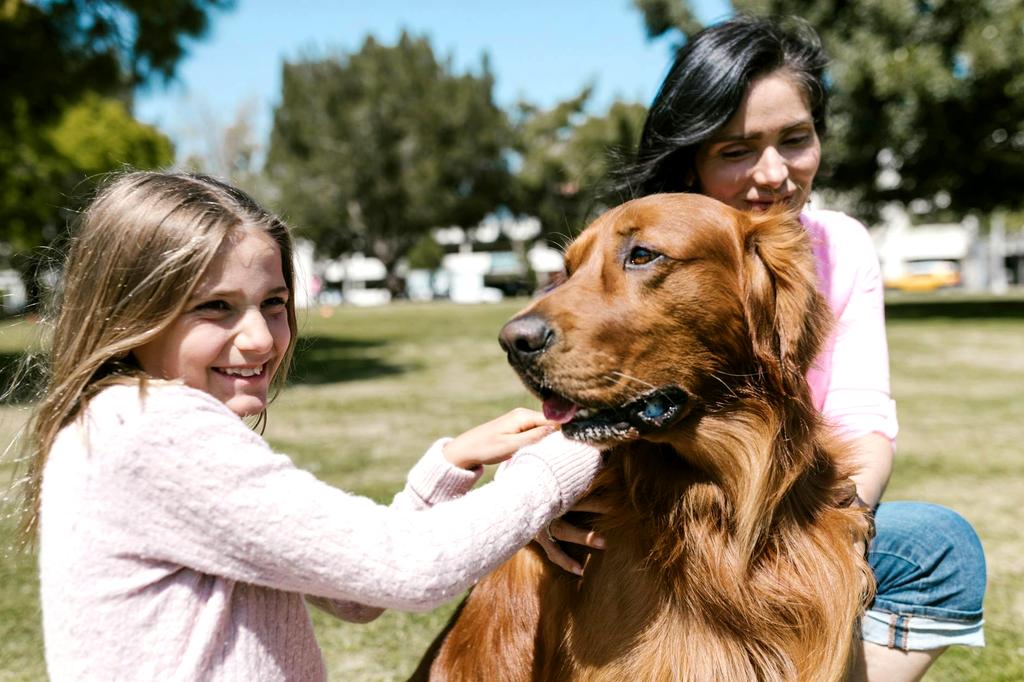 Morgan Reeves - Pet Sitter